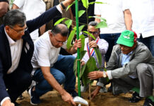 সারাদেশে ২৫ কোটি বৃক্ষরোপণ কর্মসূচির উদ্বোধন প্রধানমন্ত্রীর